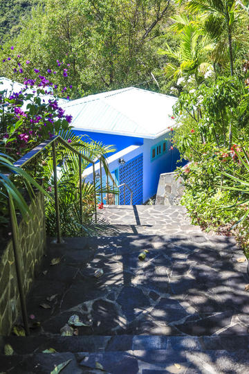 Steps and garden